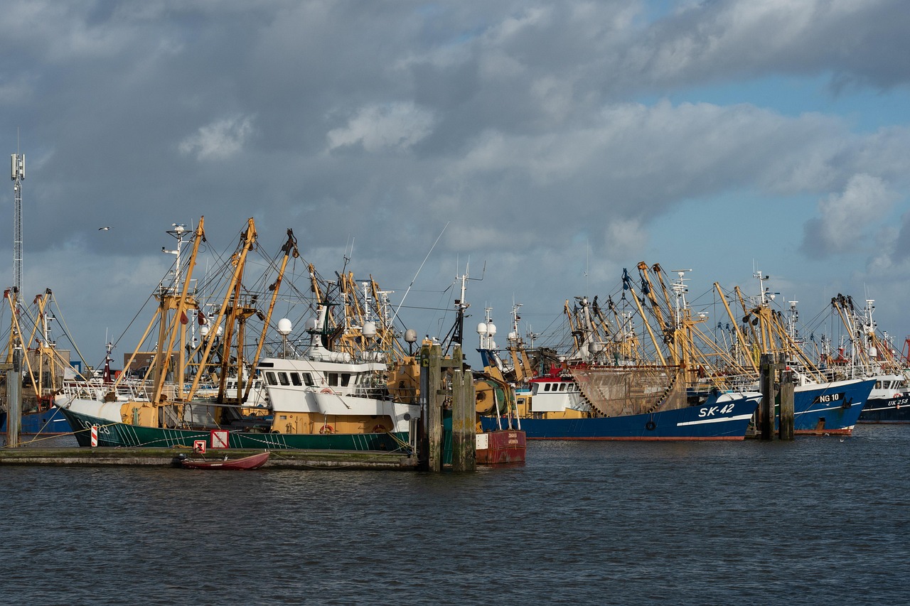 découvrez la flotte européenne, une synergie d'innovation et de durabilité qui propulse le transport maritime vers de nouveaux horizons. explorez les stratégies, les technologies et les tendances qui façonnent l'avenir de la logistique en europe.